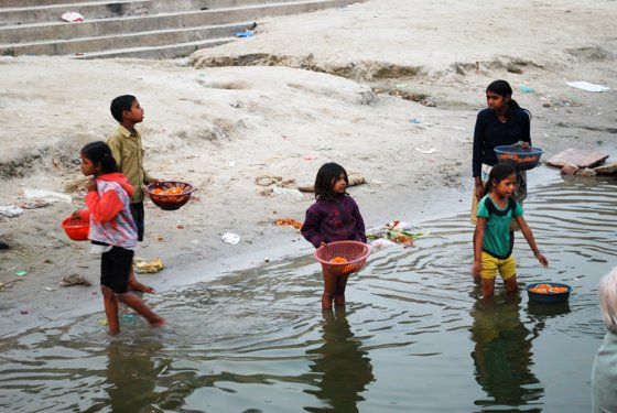 India, February 2015 — travel photo 218