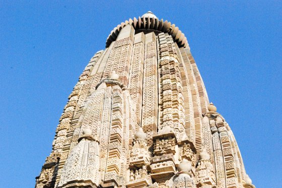 India, February 2015 — travel photo 235
