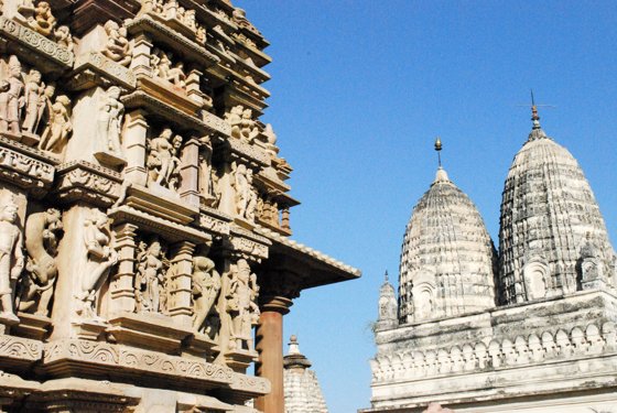 India, February 2015 — travel photo 240