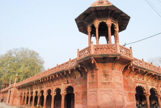 India, February 2015 — travel photo 270