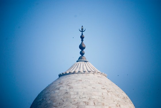 India, February 2015 — travel photo 284
