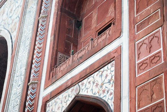 India, February 2015 — travel photo 289