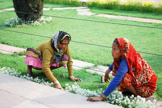 India, February 2015 — travel photo 293
