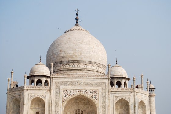 India, February 2015 — travel photo 301