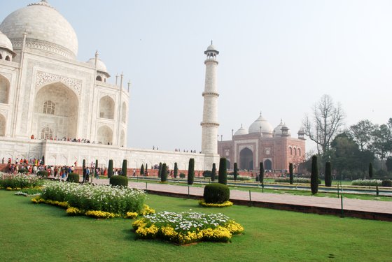 India, February 2015 — travel photo 309