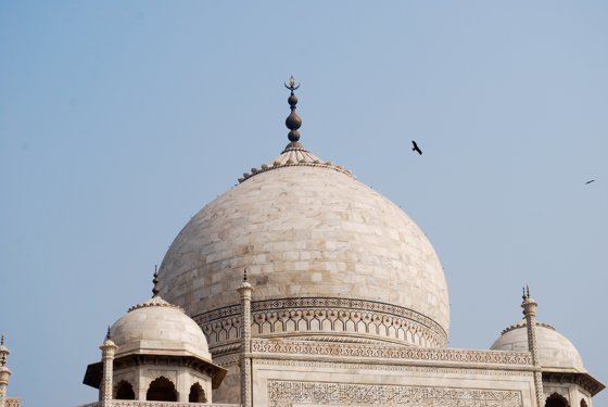 India, February 2015 — travel photo 310
