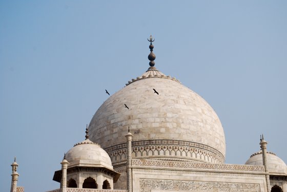 India, February 2015 — travel photo 316