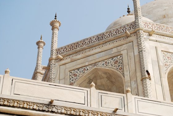 India, February 2015 — travel photo 330