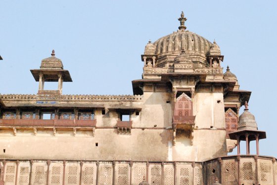 India, February 2015 — travel photo 346