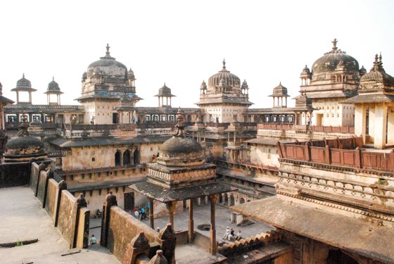 India, February 2015 — travel photo 355