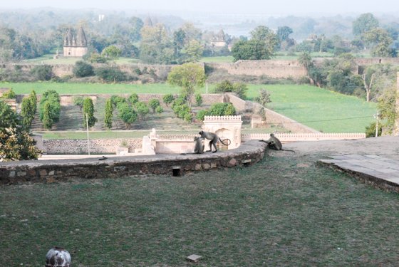 India, February 2015 — travel photo 357