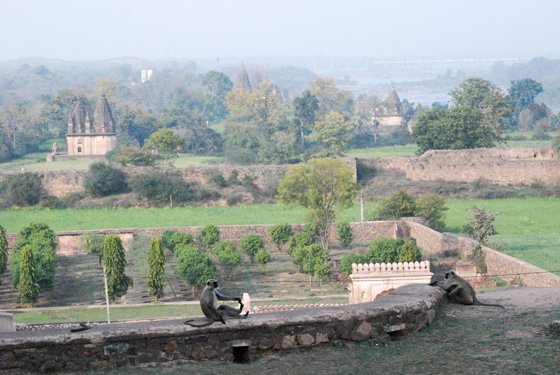 India, February 2015 — travel photo 358