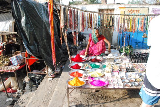 India, February 2015 — travel photo 368