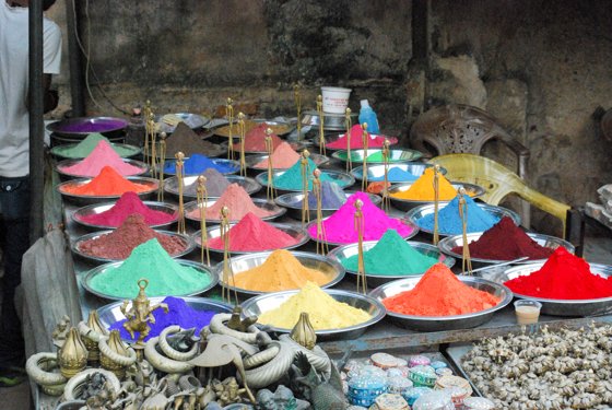 India, February 2015 — travel photo 369