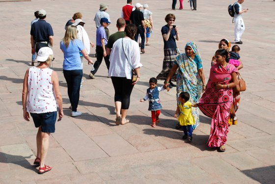 India, February 2015 — travel photo 386