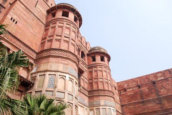 India, February 2015 — travel photo 390