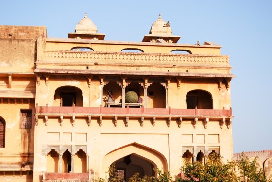 India, February 2015 — travel photo 419
