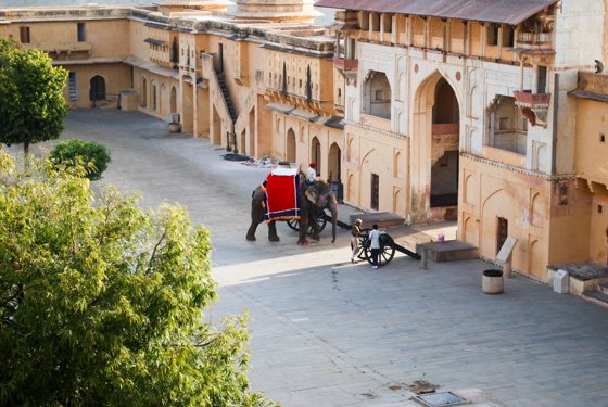 India, February 2015 — travel photo 420