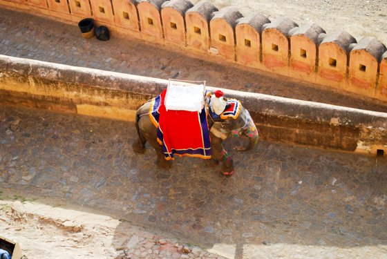 India, February 2015 — travel photo 421