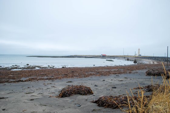Iceland, November 2015 — travel photo 36