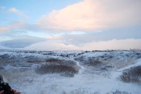 Iceland, November 2015 — travel photo 117