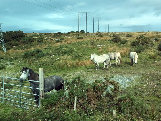 Ireland, September 2016 — travel photo 53