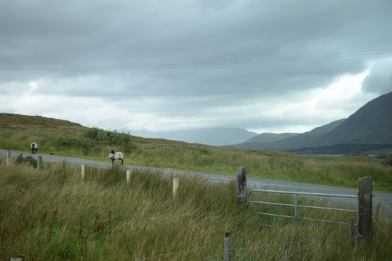 Ireland, September 2016 — travel photo 56