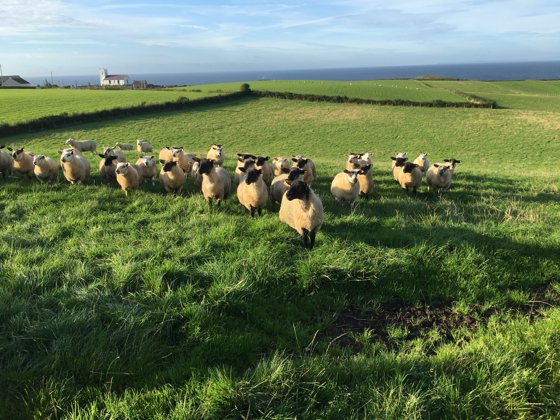 Ireland, September 2016 — travel photo 75