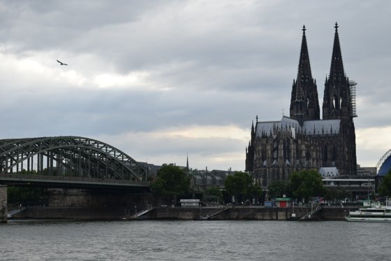 Rhine, August 2017 — travel photo 69
