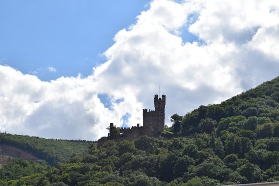 Rhine, August 2017 — travel photo 88