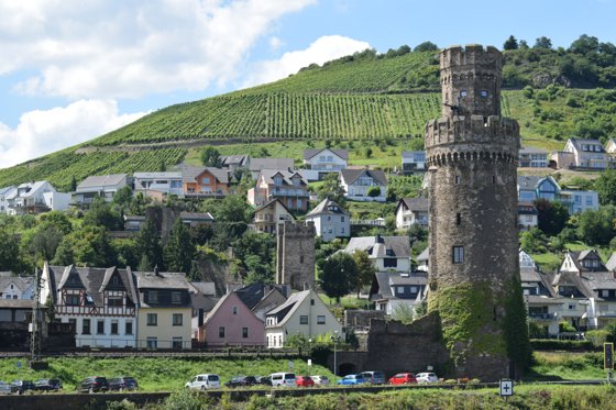 Rhine, August 2017 — travel photo 89