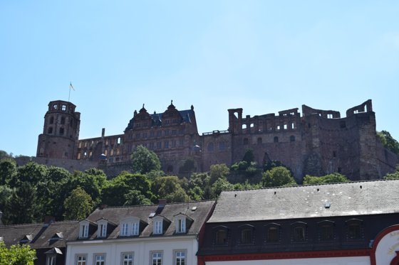Rhine, August 2017 — travel photo 95