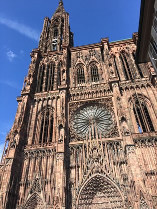 Rhine, August 2017 — travel photo 100