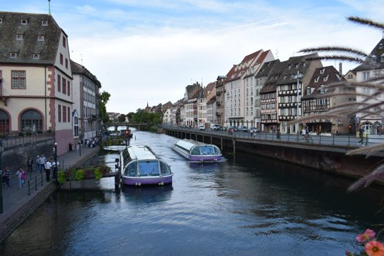 Rhine, August 2017 — travel photo 103
