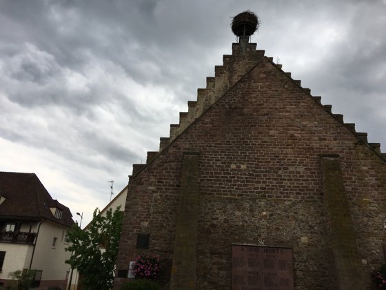 Rhine, August 2017 — travel photo 110