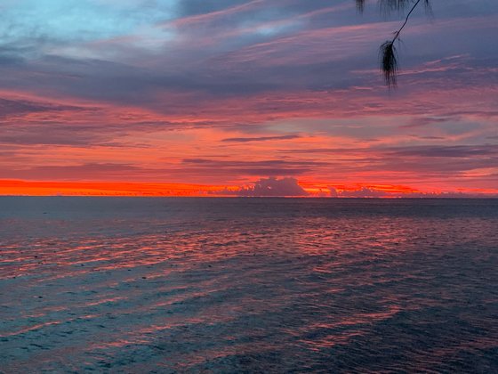 Tahiti, November 2018 — travel photo 60