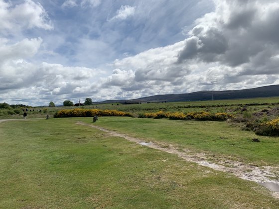 Scotland, May 2019 — travel photo 39