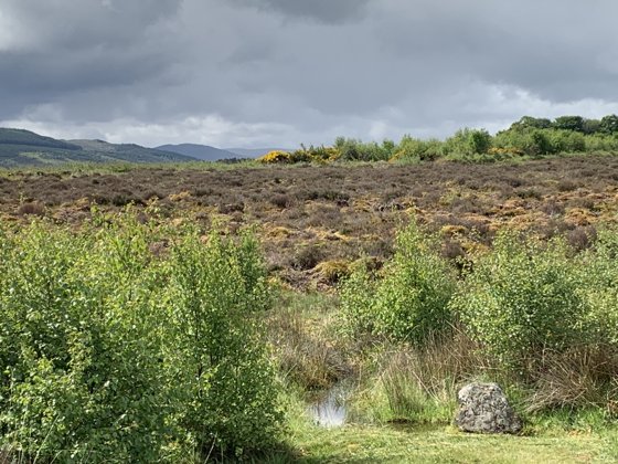 Scotland, May 2019 — travel photo 41