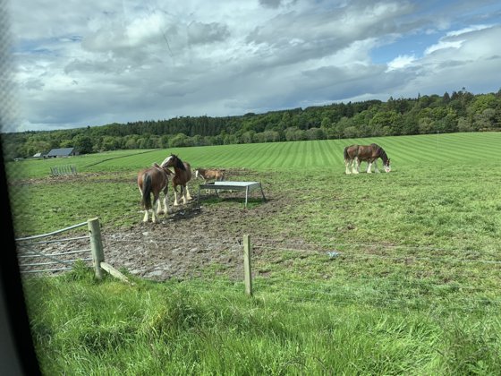 Scotland, May 2019 — travel photo 69