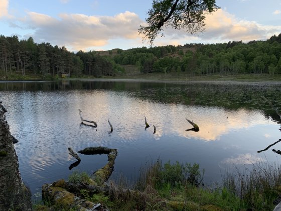 Scotland, May 2019 — travel photo 115