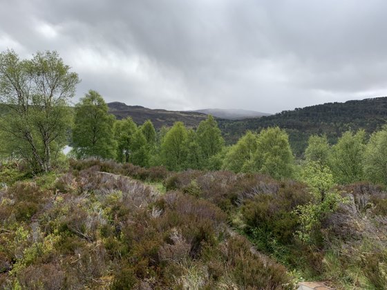 Scotland, May 2019 — travel photo 149
