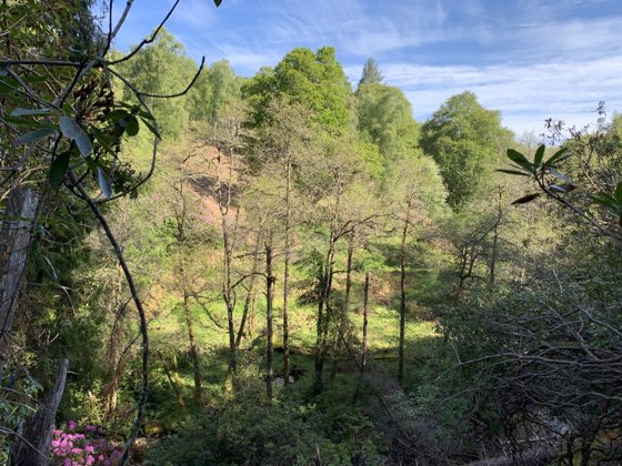 Scotland, May 2019 — travel photo 157