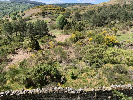 Scotland, May 2019 — travel photo 169