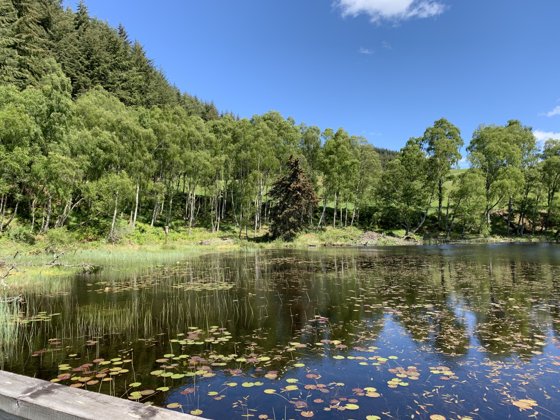 Scotland, May 2019 — travel photo 174