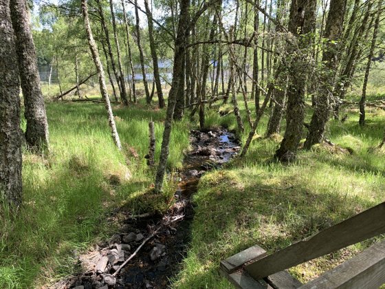 Scotland, May 2019 — travel photo 178