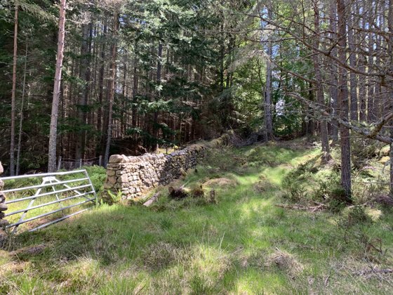 Scotland, May 2019 — travel photo 180