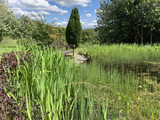 Scotland, May 2019 — travel photo 185