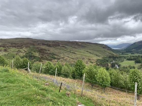 Scotland, May 2019 — travel photo 228