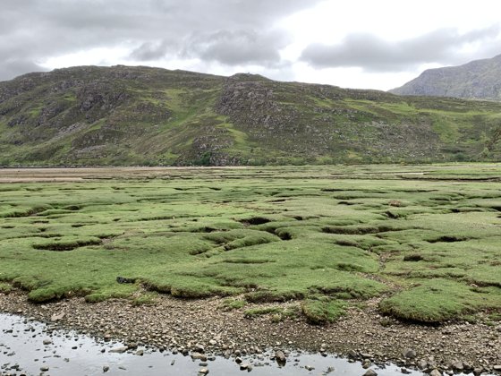 Scotland, May 2019 — travel photo 238