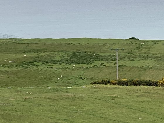 Scotland, May 2019 — travel photo 242